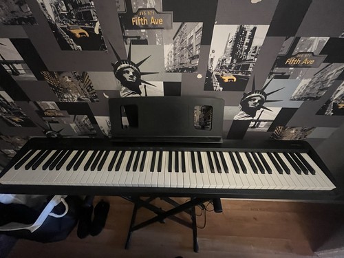 Roland touches piano - 88,